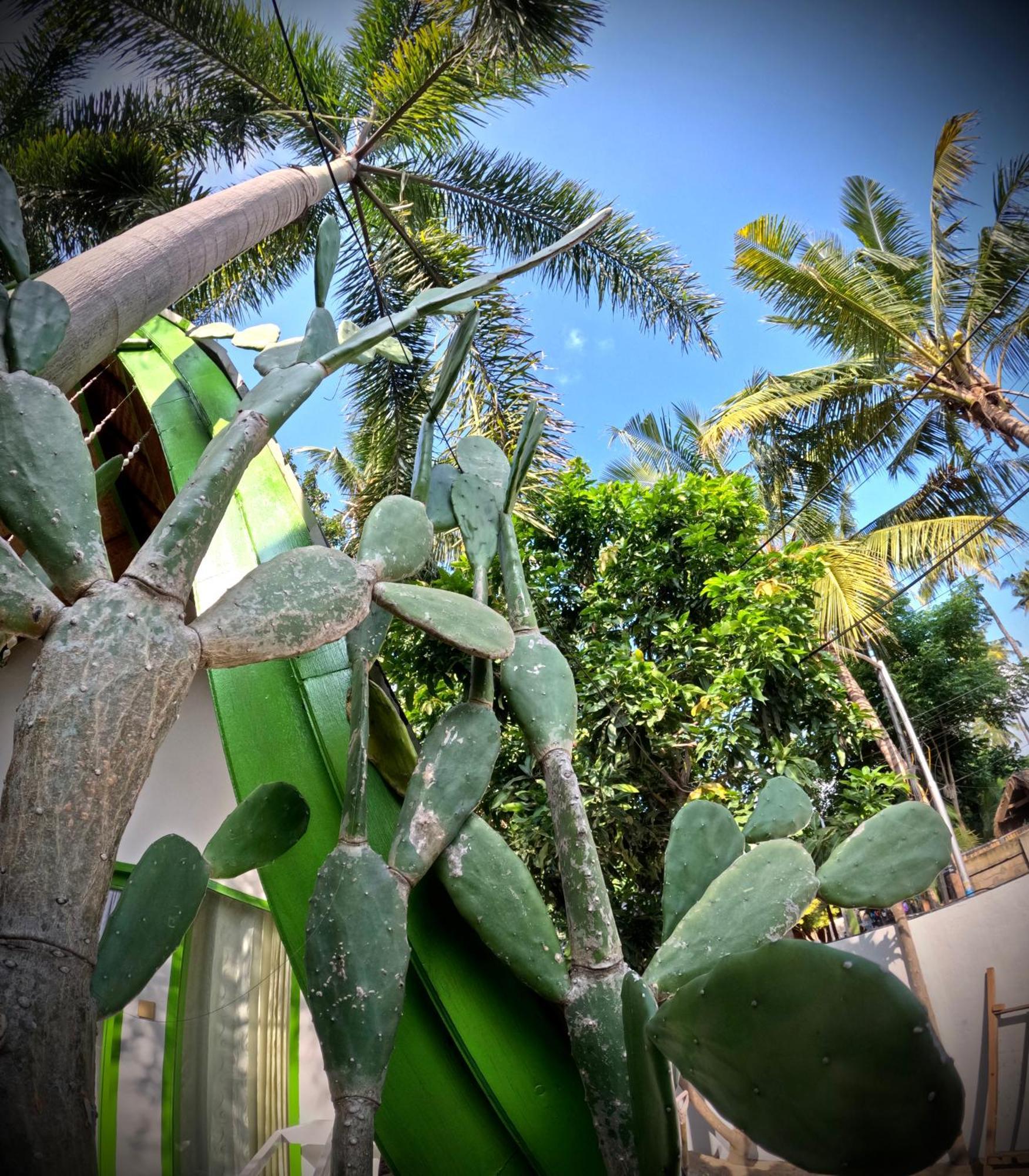 Kaktus Bungalow 4 Gili Air Dış mekan fotoğraf