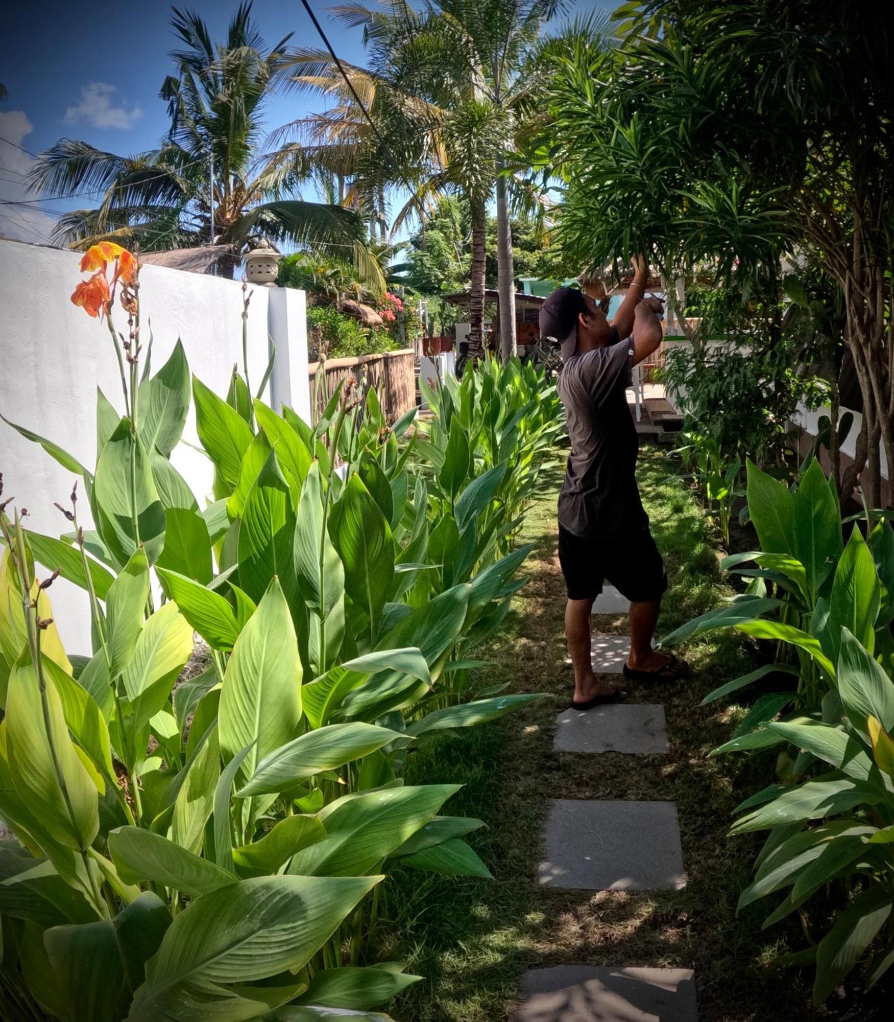 Kaktus Bungalow 4 Gili Air Dış mekan fotoğraf